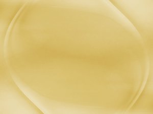 宠物狗游泳能力排行，天生水性好的品种